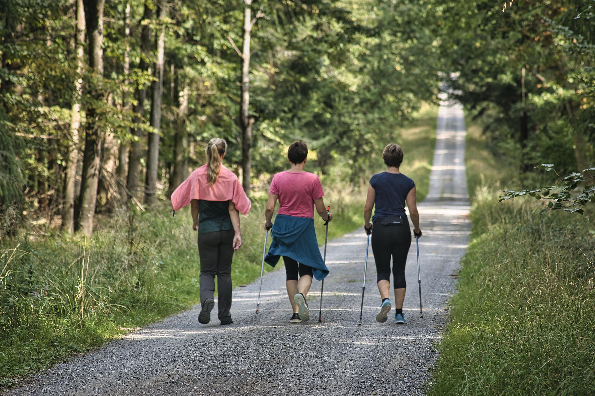 Does Walking Increase Longevity And Quality Of Life?