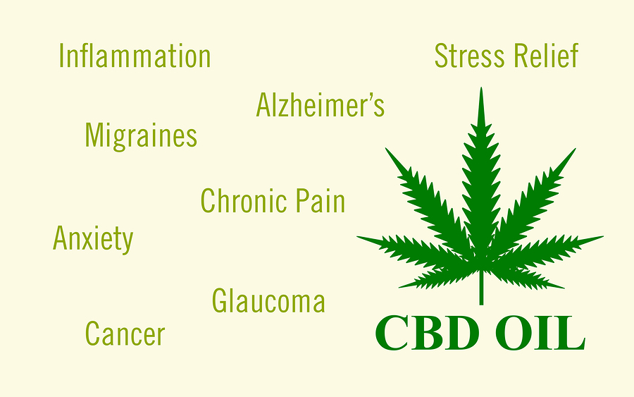How To Use CBD Oil For Pain Relief