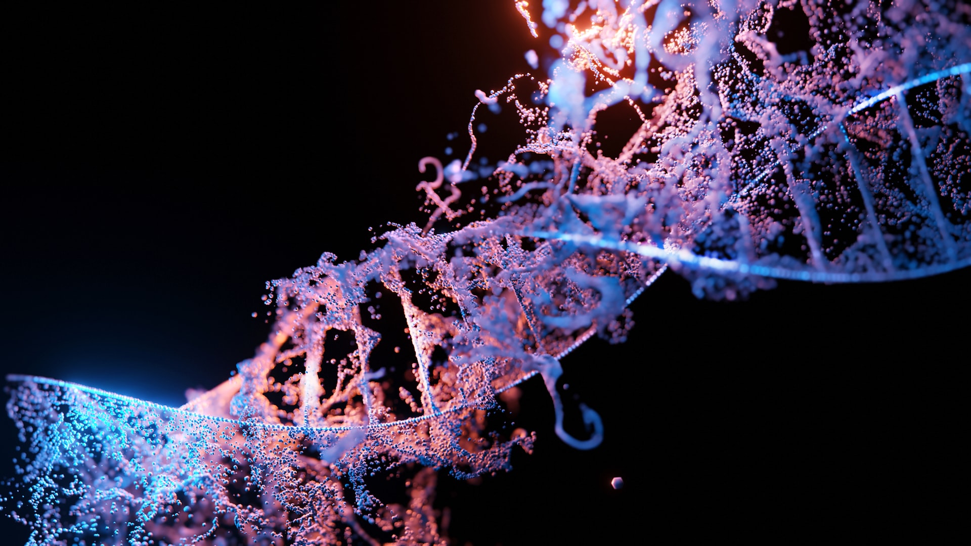What Is DNA Methylation In Epigenetics?