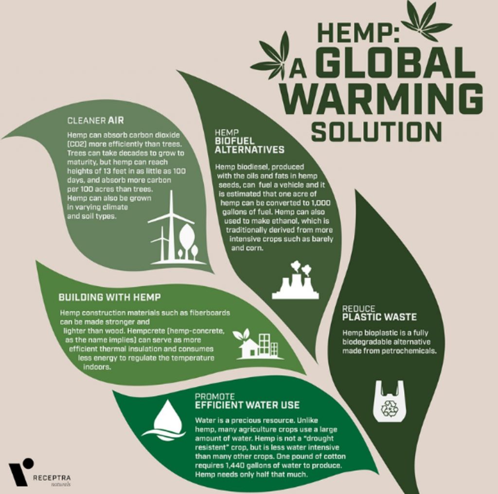 receptra naturals review: is hemp a global warning solution?