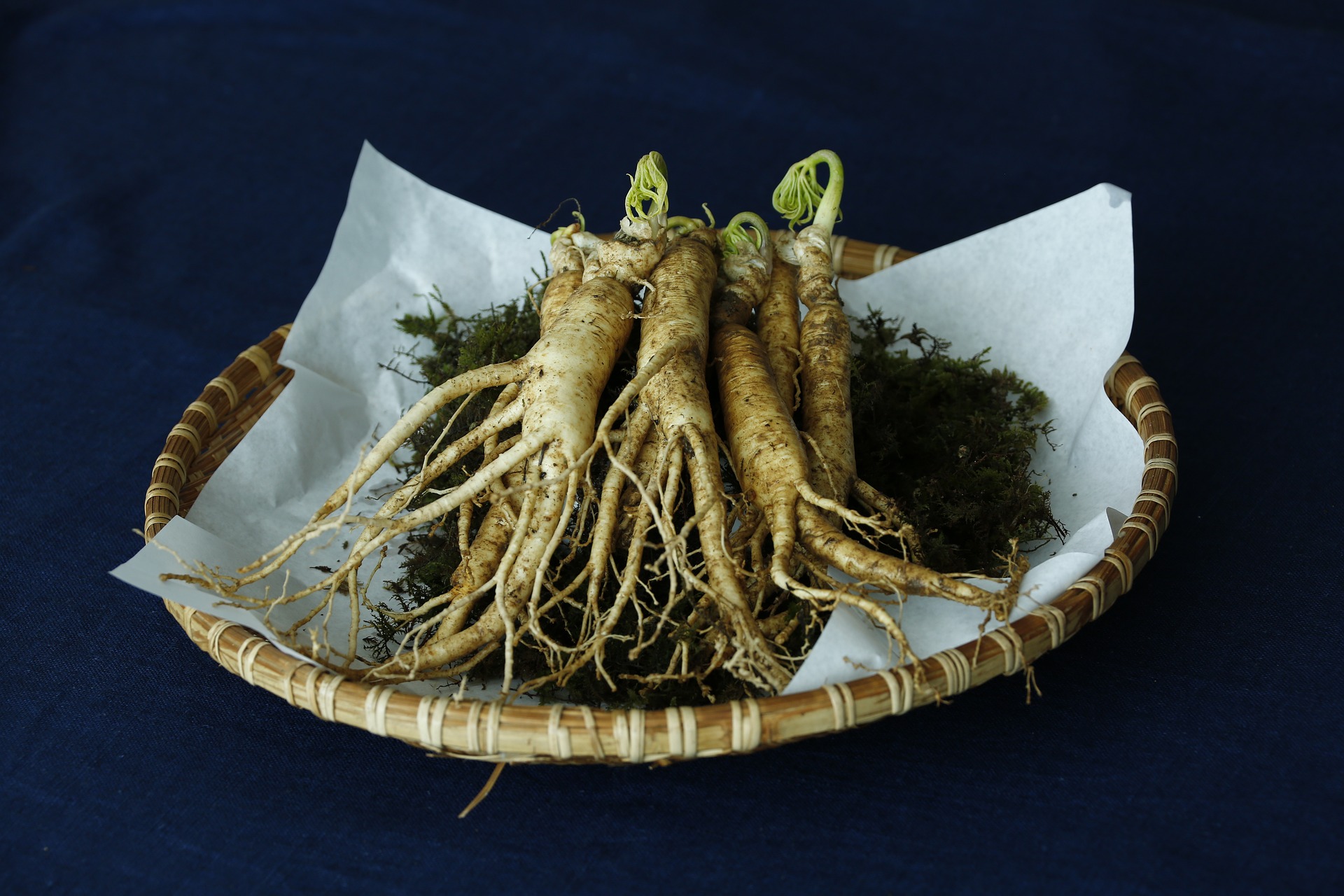 Asian Ginseng Health Benefits And Side Effects