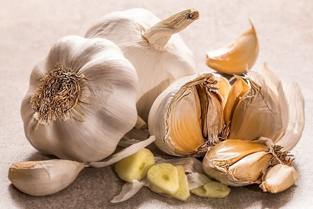 garlic: one of 5 powerful herbs to boost immunity