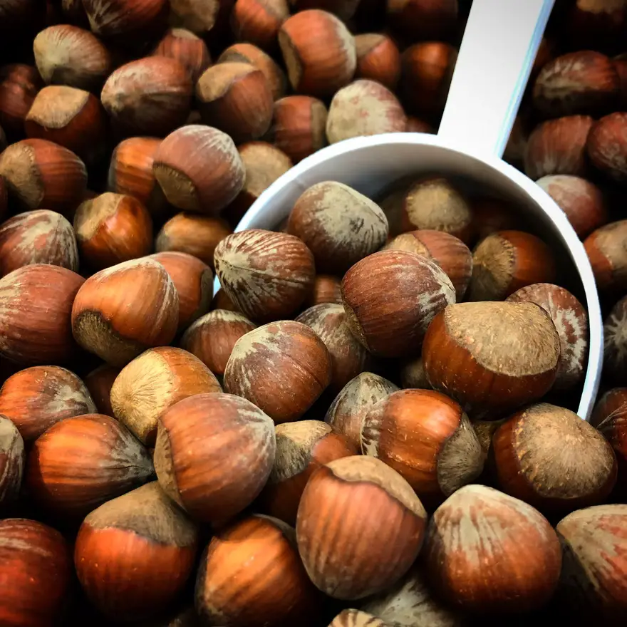 Which Nuts Are Best for Brain Health: Hazelnuts