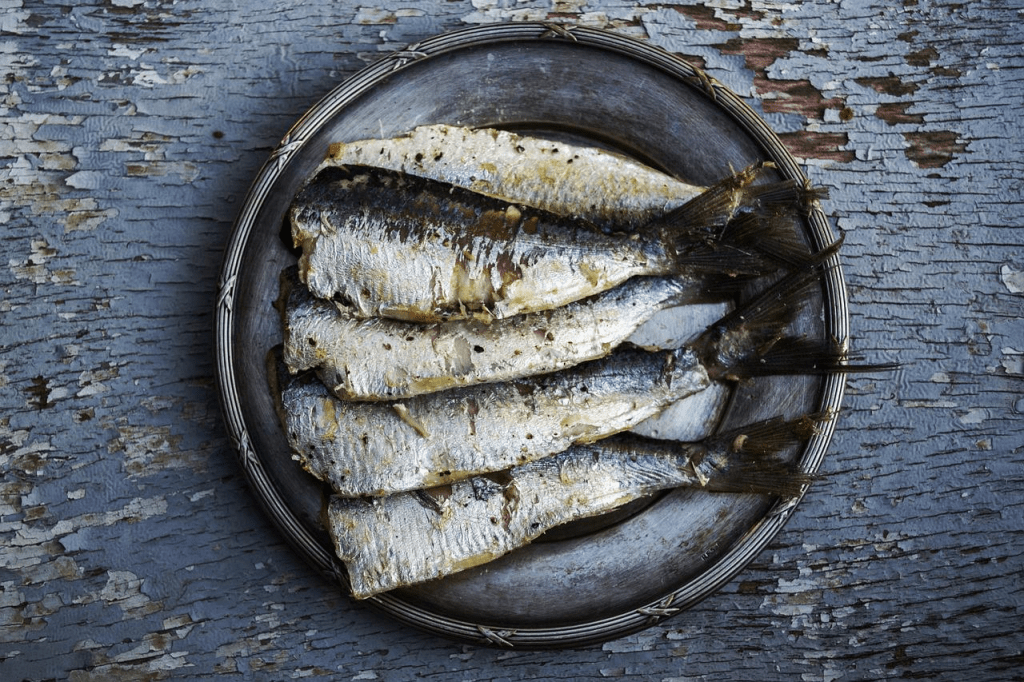 sardines high in omega-3 fatty acids
