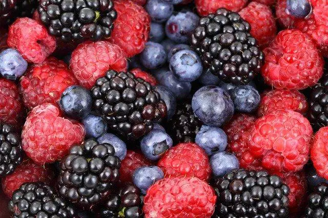 Do the Antioxidants in colored berries Help Your Immune System