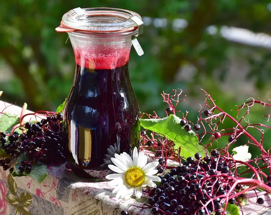 Elderberry Health Benefits
