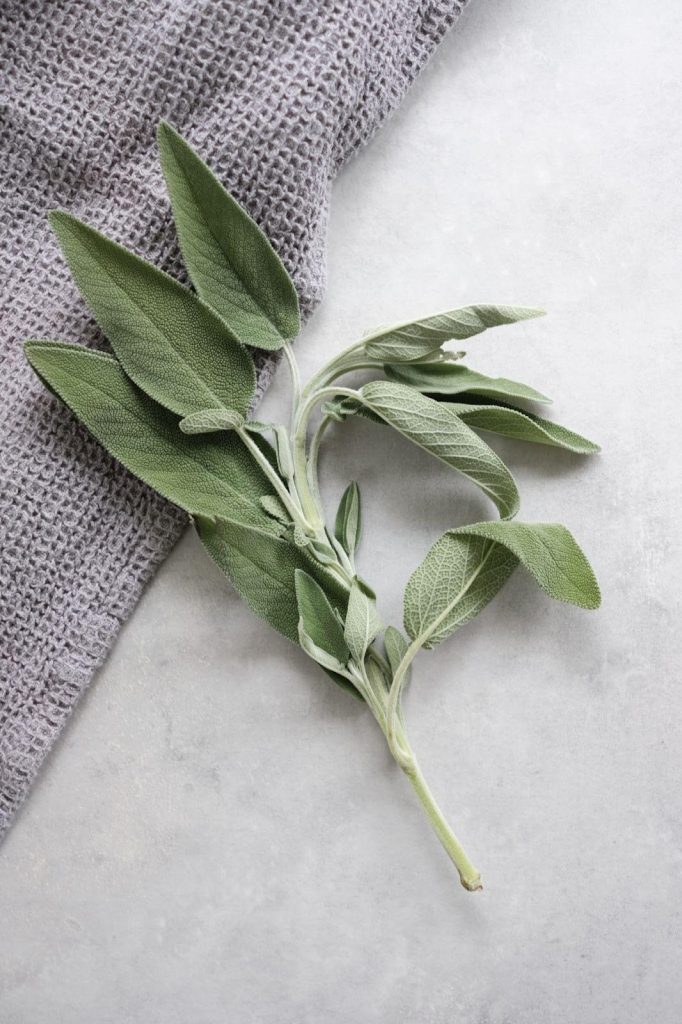 sage, one of the 5 best herbs for dementia