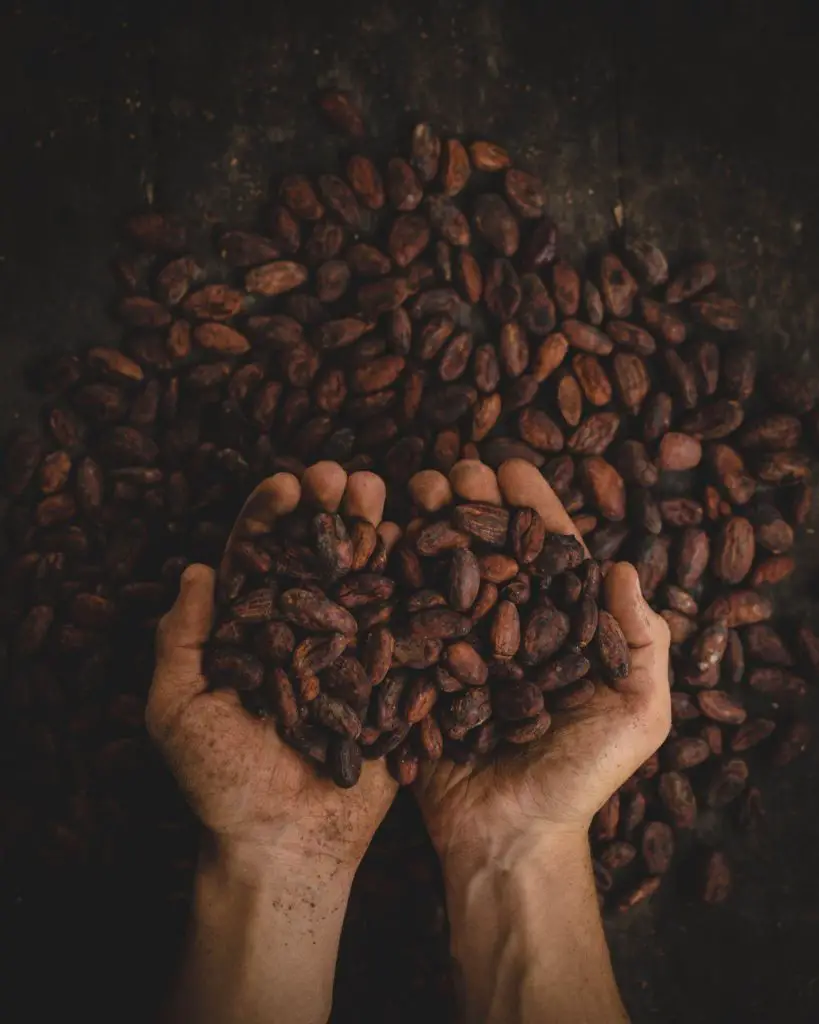 Health Benefits of Cacao Powder
