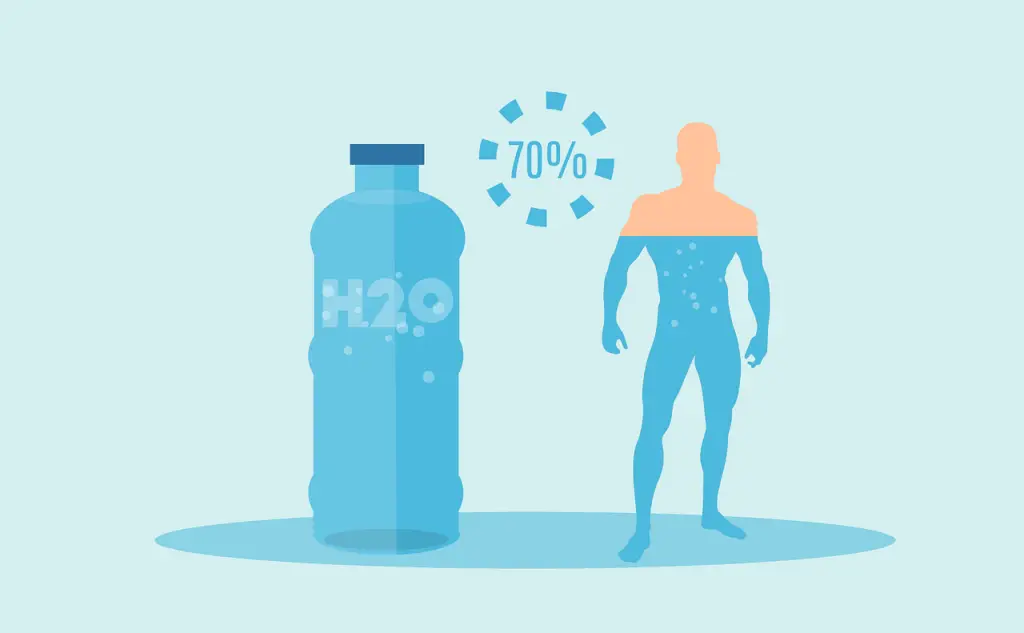 Hydration And Age Reversing: the body is made up of 70% water content